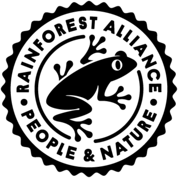 rainforest logo